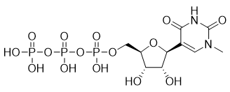 N1-甲基假尿苷三磷酸<br> N1-Me-pUTP<br> - 产品货号：HN1002